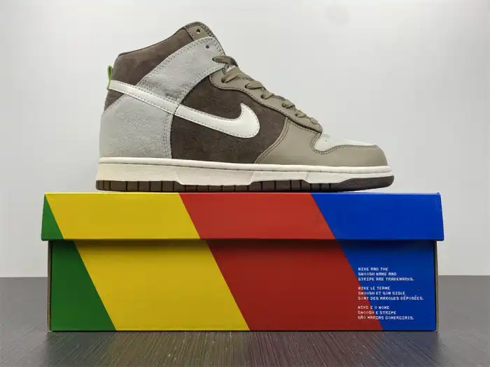 Affordable Nike Dunk High Light Chocolate DH5348-100 0206