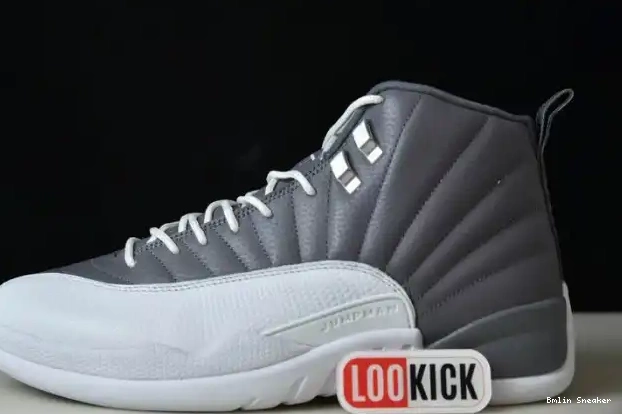 Cheap JORDAN 12 AIR CT8025-610 STEALTH 0209