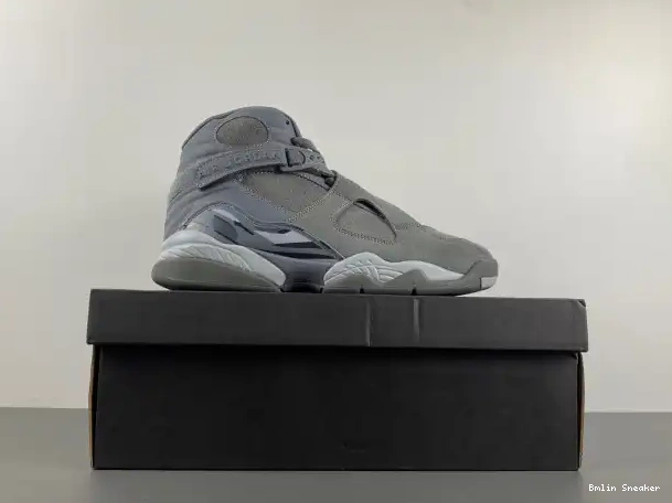 Affordable 305381-014 Grey Jordan Retro 8 Cool 0224