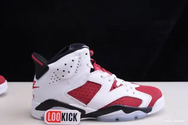 Affordable JORDAN 6 2021 CT8529-106 RETRO 'CARMINE' AIR 0210