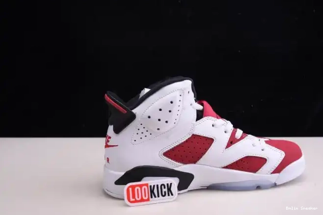 Affordable JORDAN 6 2021 CT8529-106 RETRO 'CARMINE' AIR 0210