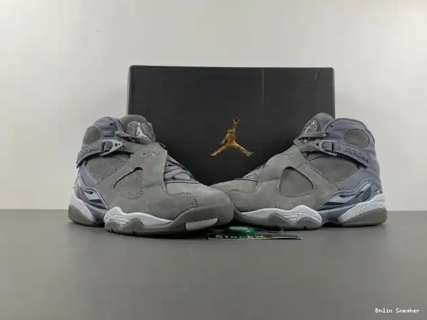 Affordable 305381-014 Grey Jordan Retro 8 Cool 0224